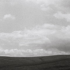 I Never Learn - Lykke Li Cover