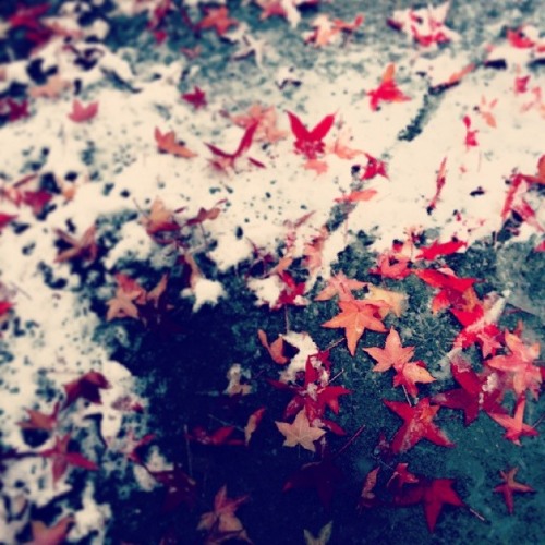 The Brit' December Mixtape (#5 ) - Maxime VITTE