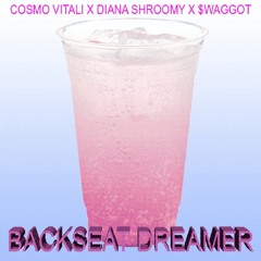 BACK SEAT DREAMER ft. $WAGGOT (prod. COSMO VITALI)