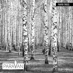 ParaVan - The Highest Top