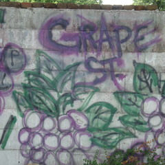 grape street crips