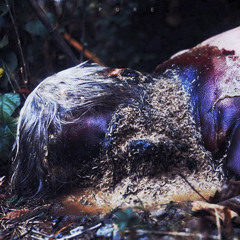 Severe