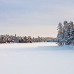 Hark The Herald - Revolution