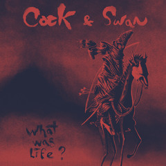 Cock & Swan - "What Was Life?"