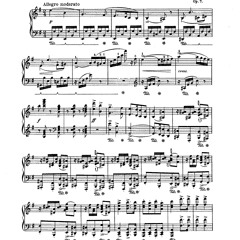 Edward Grieg Klaviersonate E minor op7 by Ceren Civelek