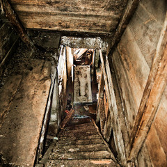 LOUDPVCK &amp; GLADIATOR feat. Nipsey Hussle - Tony (fiori and swallow mix lol)