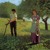 Artwork for The Girl From The Hiring Fair ( Ralph McTell cover )