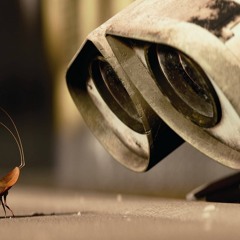 midi - Kackerlacksången