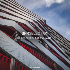 SPRSELECTION NOV. by Rare Villains