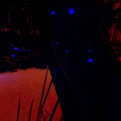 Fractal sonoro / Musica para rodar vol. IV