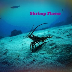 Shrimp Flavor x YD x Dust King