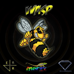 Merzy -  Wasp  (Original Mix)