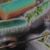 Artwork for Terror In The UK