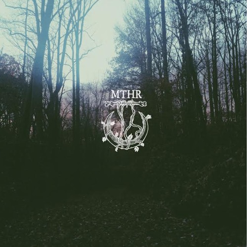 mthr-wise-blood