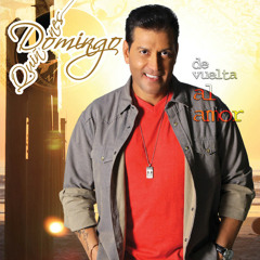 (Producción 2014) Domingo Quiñones - A Veces