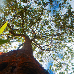 *Kava Powder* Hot Jazzy Hip Hop Instrumental