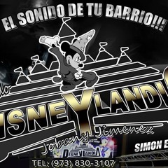 **deja de llorar** grupo bongo sonido {disneylandia}
