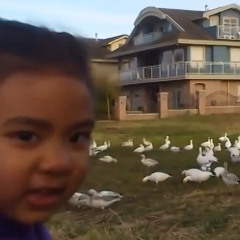 Look At All Those Chickens Dubstep Remix