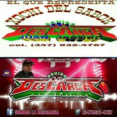 DIMELO GRUPO ADIXION 2014-2015