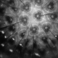 Cory Allen - Divine Waves  [from the album The Source]