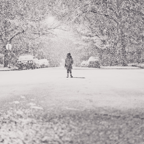 Snow For Me-by Shawn Hightower