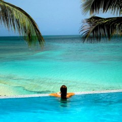 Pool House II