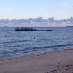 Tell Her You Love Her - Echosmith