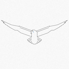 Prez Müller - Rainbird