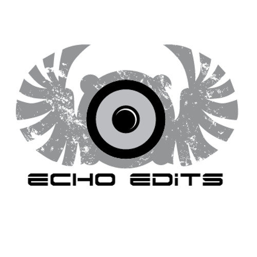 Showtek - FTS (Ridvan Remix) [Echo No Vocal Edit] *Free Download*