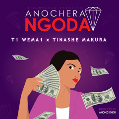 Anochera Ngoda feat. Tinashe Makura