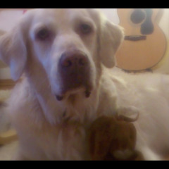 Mr. Hund (and Rag Rabbit)