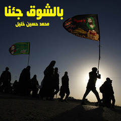 قصيدة الأربعين ( بالشوق جئنا ) - الرادود الحسيني محمد حسين خليل 2014