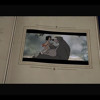 Sky Movies Disney Classics Collection Advert Audio Mp3
