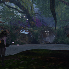 Mysterious Forest Theme