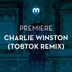 Premiere: Charlie Winston 'Lately' (Tobtok remix)