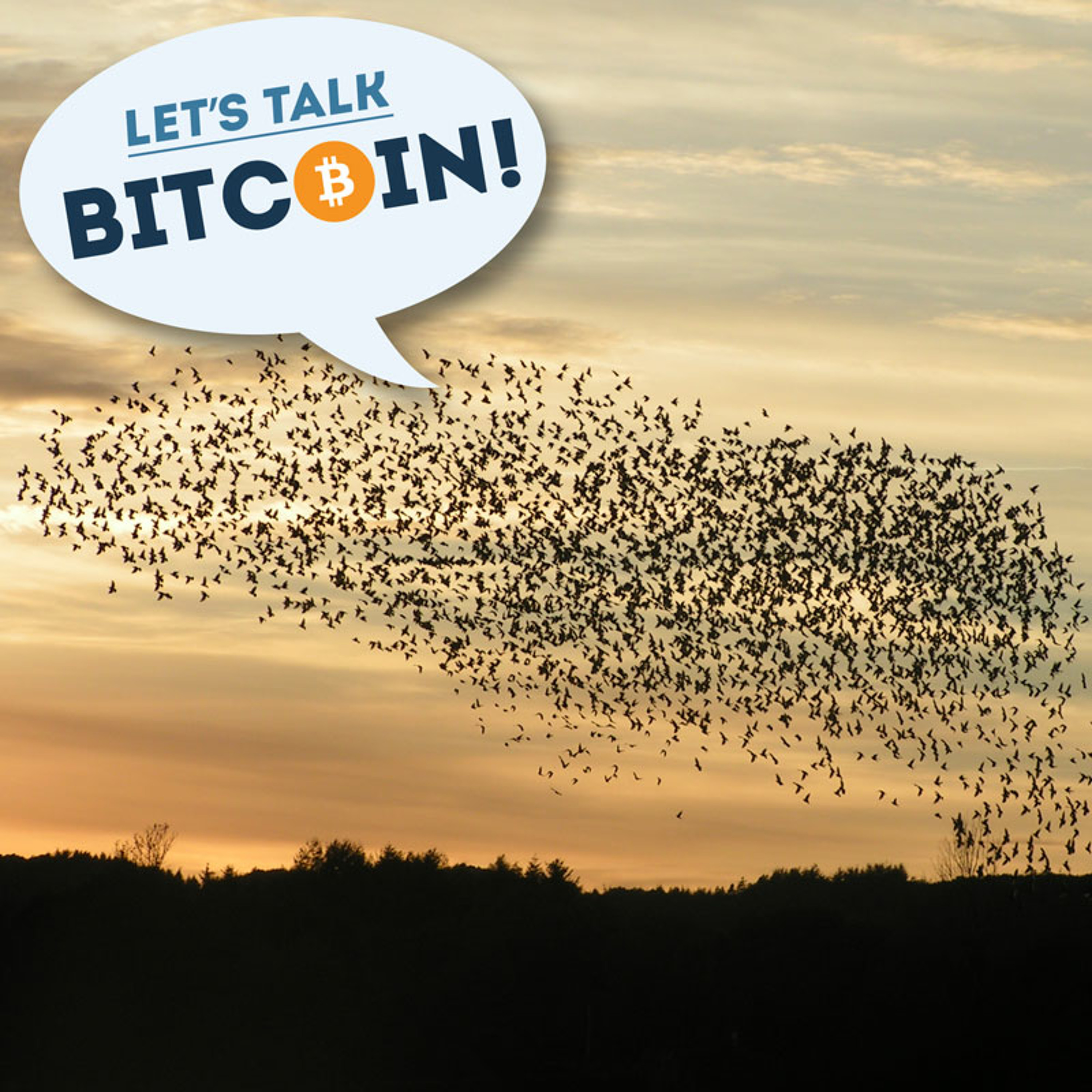 LTB E166 Productivity and Leadership in Decentralized Networks