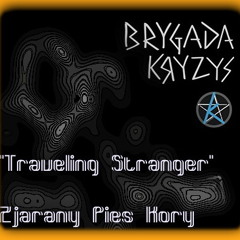 Travelling Stranger (cover Brygada Kryzys)
