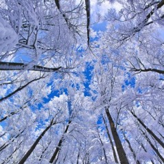 Winter Smorgasbord 2014