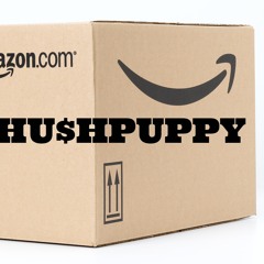 YOUR AMAZON PACKAGE ARRIVED TODAY