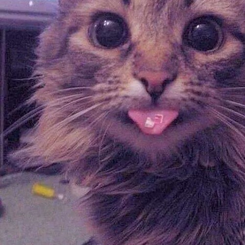 Stream The Prodigy - Omen (UK Hardcore Remix) by hapk0tuk | Listen ...