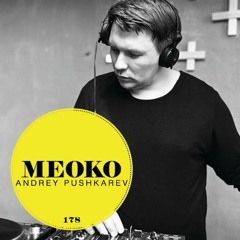 MEOKO Podcast Series | Andrey Pushkarev #178