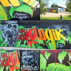 Bienvenue Dans L'ZOO ( Groove Inspectorz )