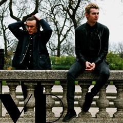 Falling Leaves & Faces Vol. 1