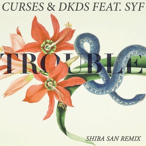 Curses & DKDS ft. SYF - Trouble (Shiba San Remix) EDX No Xcuses Podcast Rip