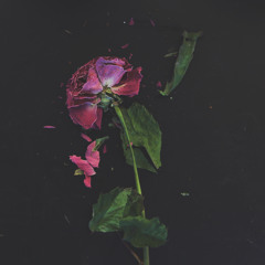 Give Me The Green Light Ft. John Legend (Hotbox Pt.1)