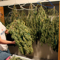 COmEON.....bruh(LEct 3dit)