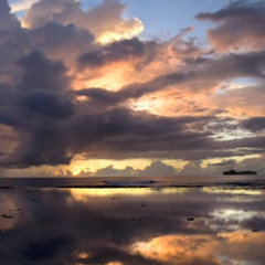 Joy To Everyone This Christmas - Studio Version (2008)