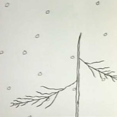 looknotes dec 14