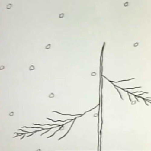 looknotes dec 14