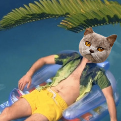 Beatenberg - Chelsea Blakemore (Hawkword Remix)